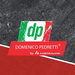 Catalogo Domenico Pedretti